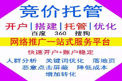 网站sem托管案例分享：如何精准投放广告